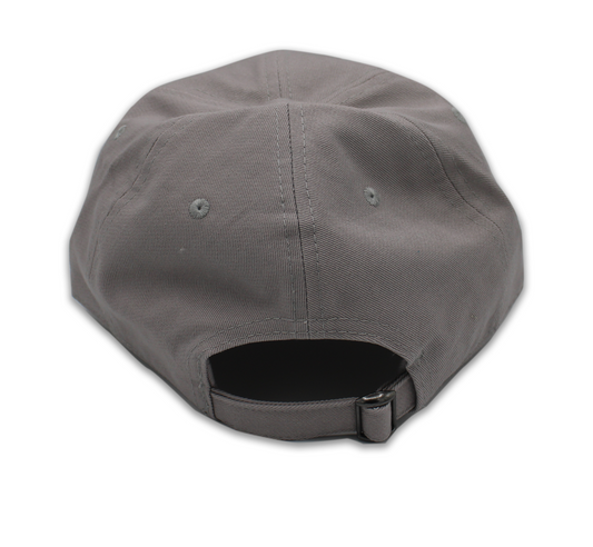 Aliens Built Earth Blk and Grey Dad hat