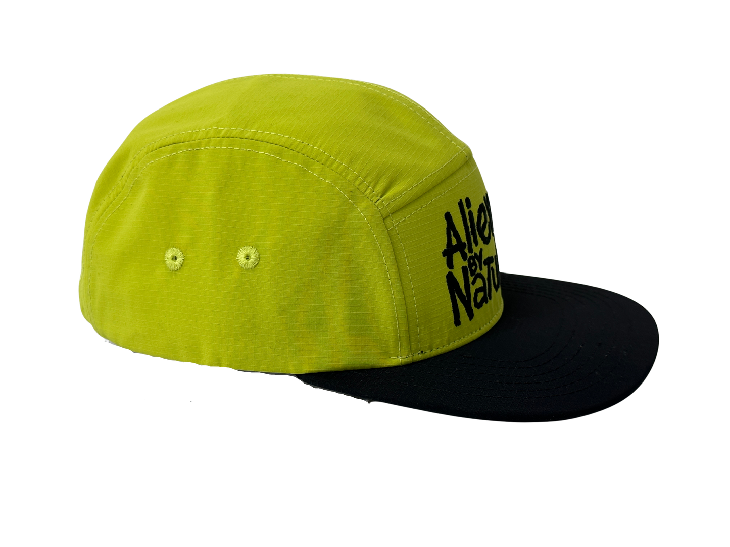 Aliens By Nature 5 panel glow n the dark