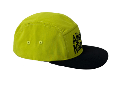Aliens By Nature 5 panel glow n the dark