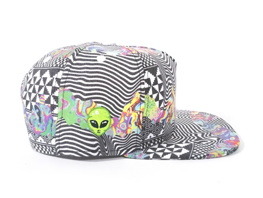 Psychedelic Aliens Built Earth