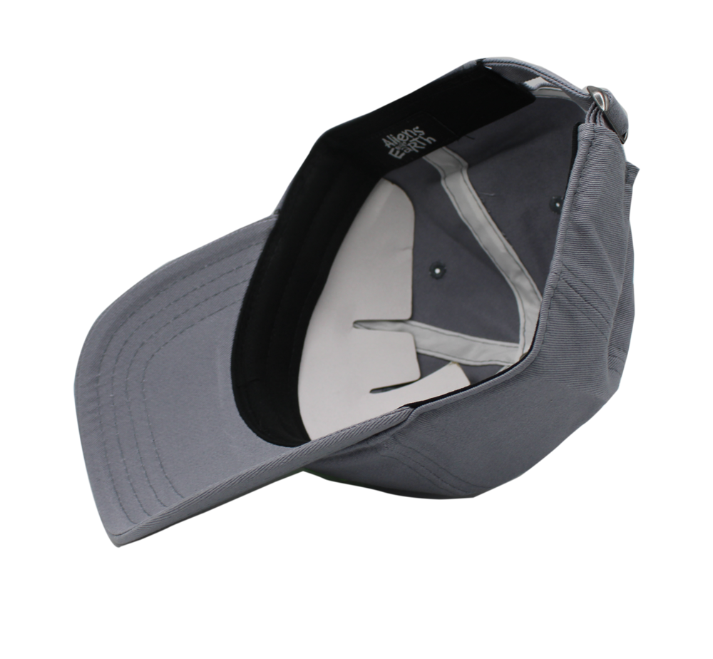 Aliens Built Earth Blk and Grey Dad hat